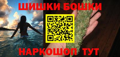 PSILOCYBIN Гатчина