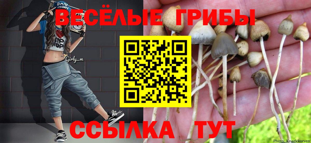 Галлюциногенные грибы мицелий  Вход с VPN  Галлюциногенные грибы ЛСД  Новороссийск 